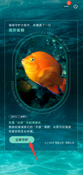 QQ守护海洋生物怎么参与?QQ守护海洋生物参与教程截图