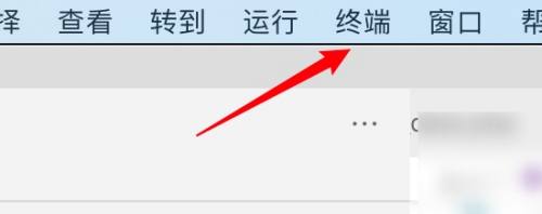 Vscode如何在终端显示结果?Vscode在终端显示结果教程