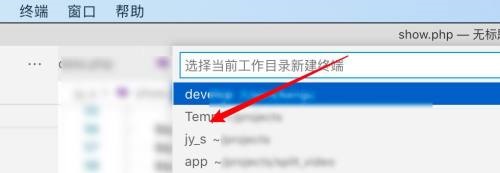 Vscode如何在终端显示结果?Vscode在终端显示结果教程截图