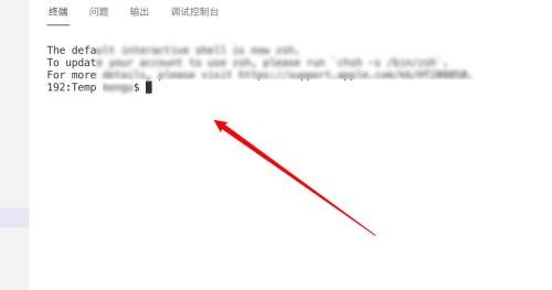 Vscode如何在终端显示结果?Vscode在终端显示结果教程截图