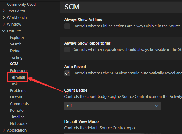 Vscode怎么设置自动检测?Vscode设置自动检测方法截图