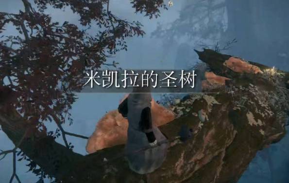 艾尔登法环圣树祈祷堂怎么进入?艾尔登法环圣树祈祷堂进入方法截图