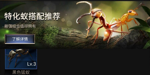 小小蚁国特化蚁阵容怎么搭配?小小蚁国特化蚁阵容搭配攻略