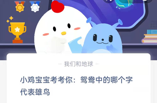 小鸡宝宝考考你:鸳鸯中的哪个字代表雄鸟?支付宝蚂蚁庄园9月9日答案