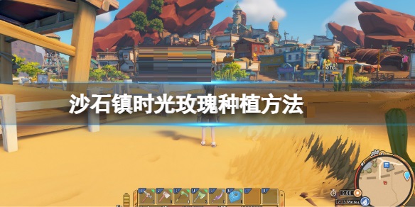 沙石镇时光玫瑰怎么种植?沙石镇时光玫瑰种植方法