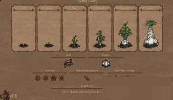 饥荒勿忘我植物有什么用?饥荒勿忘我植物作用介绍截图