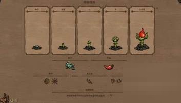 饥荒勿忘我植物有什么用?饥荒勿忘我植物作用介绍截图