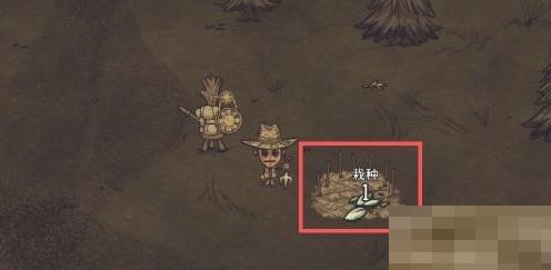 饥荒怎么种地?饥荒种地攻略截图