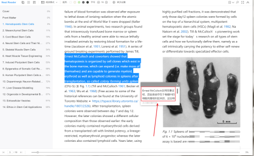Neat Reader如何翻译EPUB文档中的英文?Neat Reader翻译EPUB文档中英文的方法截图