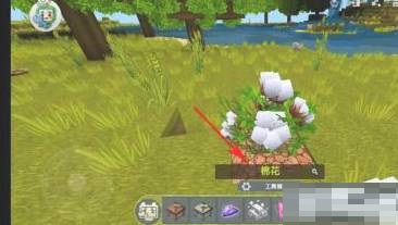 迷你世界棉花树在哪里?迷你世界棉花树位置介绍