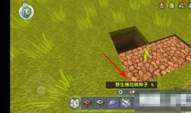 迷你世界棉花树在哪里?迷你世界棉花树位置介绍截图