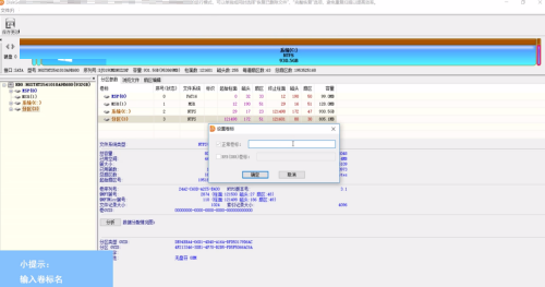 DiskGenius如何设置卷标？DiskGenius设置卷标的操作方法截图