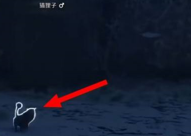 霍格沃茨之遗猫狸子在哪里?霍格沃茨之遗找到猫狸子的操作步骤截图