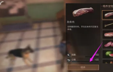 明日之后怎样喂食狗狗?明日之后喂食狗狗的详细攻略截图