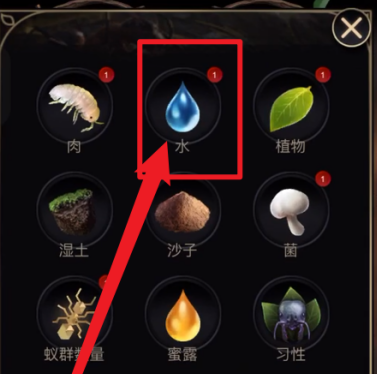 小小蚁国怎么浇水?小小蚁国浇水的玩法攻略截图
