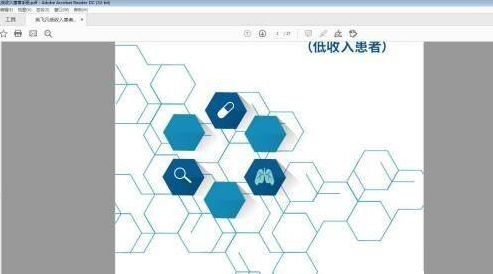 Adobe Acrobat Reader DC如何设置重排?Adobe Acrobat Reader DC设置重排的方法截图