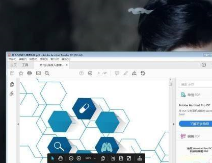Adobe Acrobat Reader DC如何设置重排?Adobe Acrobat Reader DC设置重排的方法截图