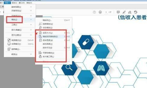 Adobe Acrobat Reader DC如何设置重排?Adobe Acrobat Reader DC设置重排的方法截图
