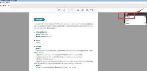Adobe Acrobat Reader DC如何查找区分大小写?Adobe Acrobat Reader DC查找区分大小写的方法截图