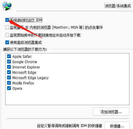 IDM下载器如何开启开机自启动?IDM下载器开启开机自启动的方法截图