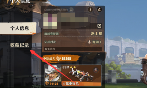 合金弹头收藏记录在哪里？合金弹头找到收藏记录的方法截图