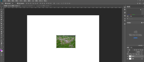 photoshop cc 2018怎样使用涂抹工具?photoshop cc 2018使用涂抹工具的方法