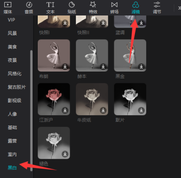 剪映专业版如何设置黑白滤镜?剪映专业版设置黑白滤镜的方法截图