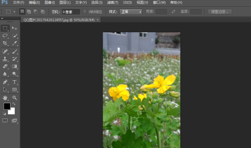 photoshop cs6怎么翻转照片素材?photoshop cs6翻转照片素材的方法