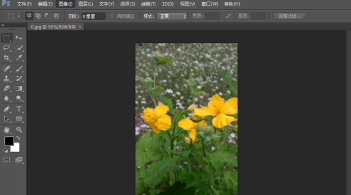 photoshop cs6怎么翻转照片素材?photoshop cs6翻转照片素材的方法截图