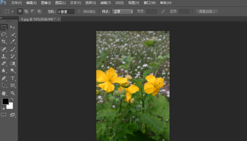 photoshop cs6怎么翻转照片素材?photoshop cs6翻转照片素材的方法截图