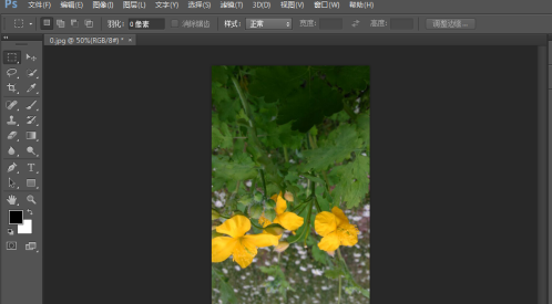photoshop cs6怎么翻转照片素材?photoshop cs6翻转照片素材的方法截图