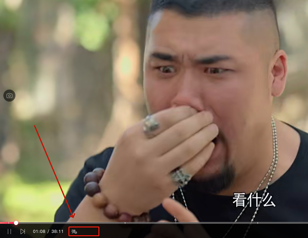 搜狐影音是什么？搜狐影音弹幕怎么设置？截图