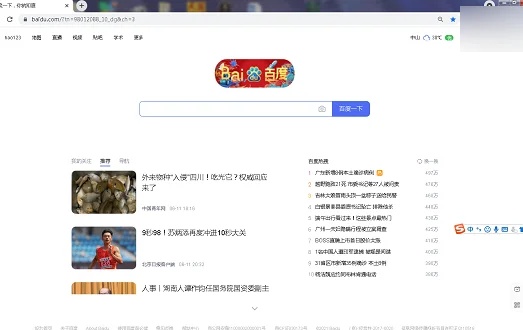 谷歌浏览器是什么？谷歌浏览器怎么设置主页？截图