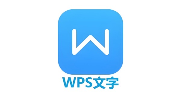 WPS文字怎么用？WPS文字中如何为录制好的宏设置快捷键？