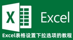 Excel表格下拉选项怎么设置 Excel表格设置下拉选项的教程