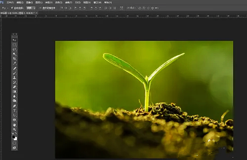 photoshop7.0怎么做羽化？photoshop7.0羽化效果使用方法截图
