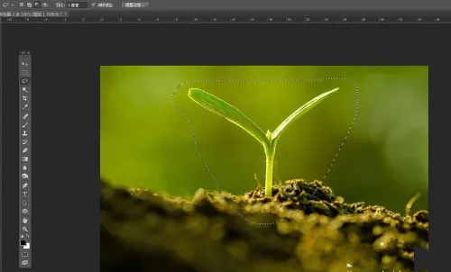 photoshop7.0怎么做羽化？photoshop7.0羽化效果使用方法截图