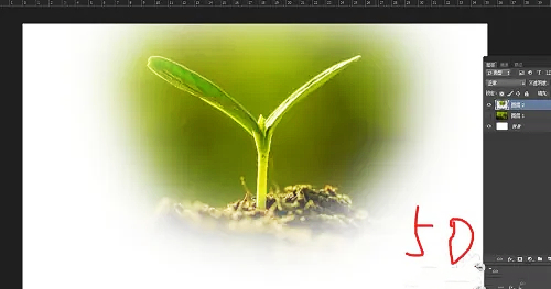 photoshop7.0怎么做羽化？photoshop7.0羽化效果使用方法截图