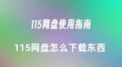 115网盘怎么下载东西 115网盘下载东西的详细教程
