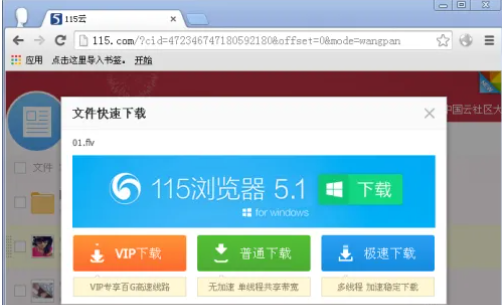 115网盘怎么下载东西 115网盘下载东西的详细教程截图