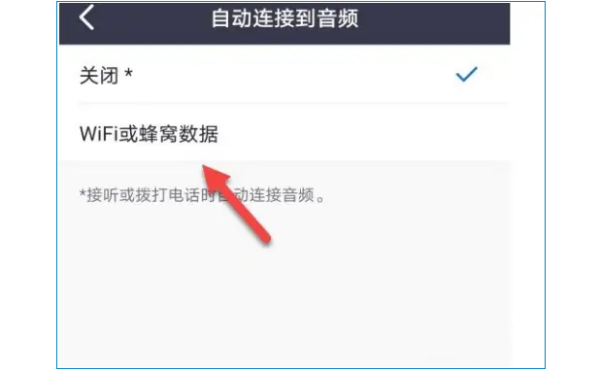 ZOOM视频会议怎么连接音频？ZOOM视频会议连接音频的方法截图