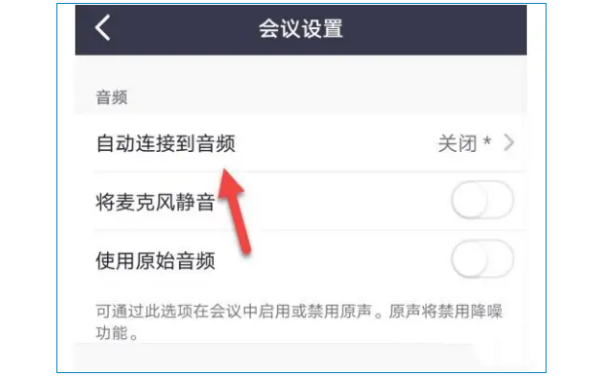 ZOOM视频会议怎么连接音频？ZOOM视频会议连接音频的方法截图