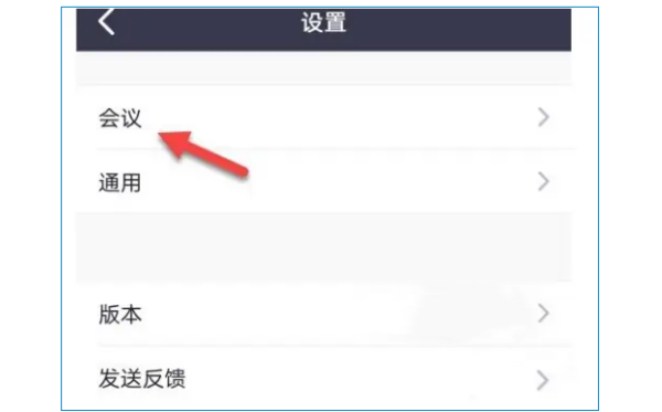 ZOOM视频会议怎么连接音频？ZOOM视频会议连接音频的方法截图