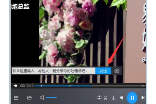 暴风影音5怎么关闭弹幕？暴风影音5关闭弹幕的操作方法截图
