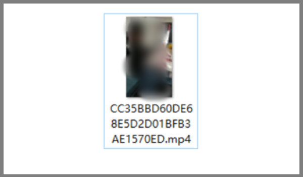 kmplayer plus音轨怎么调？kmplayer plus调音轨的方法截图