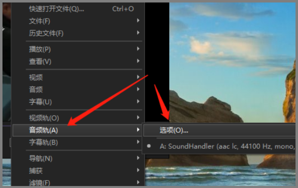 kmplayer plus音轨怎么调？kmplayer plus调音轨的方法截图