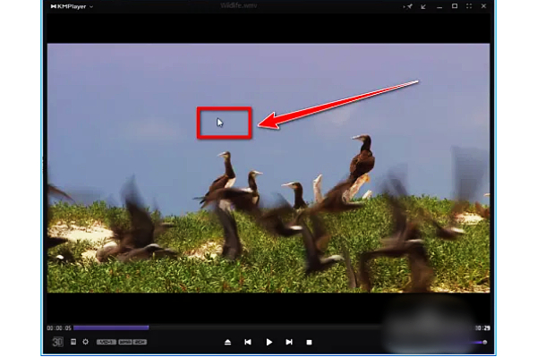 kmplayer plus怎么导入字幕？kmplayer plus导入字幕的操作步骤截图