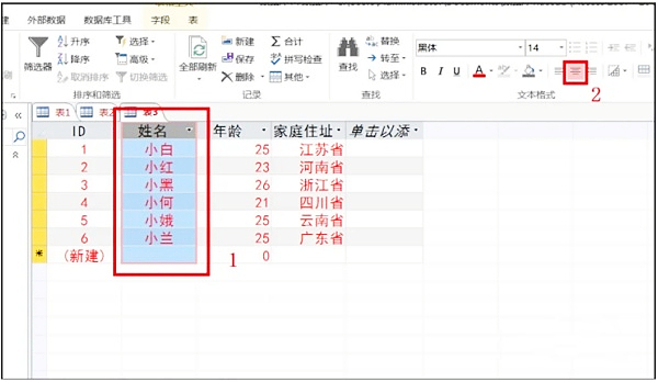 access2013怎么更改字體？access2013更改字體的操作步驟截圖