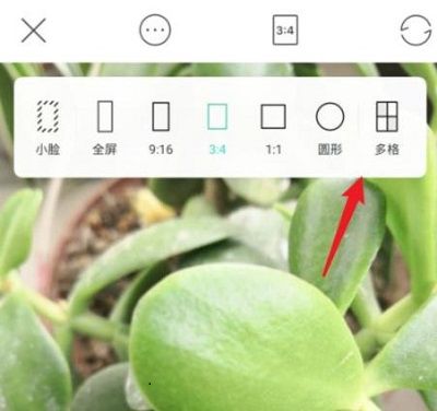 faceu怎么拼图？faceu拼图的操作步骤截图