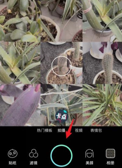 faceu怎么拼图？faceu拼图的操作步骤截图
